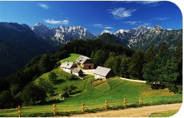 Mount_village.jpg